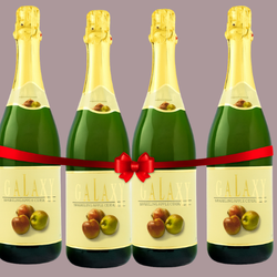 Premium Bathroom Floor Drain Model 124